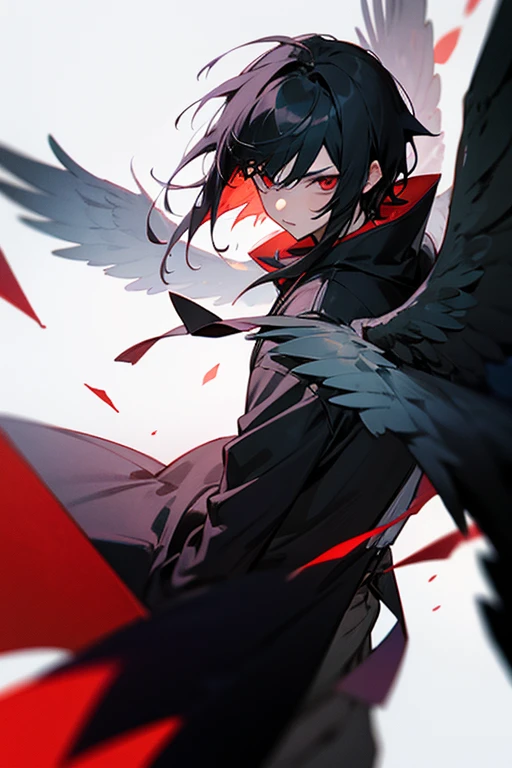 man,I have black hair,red eyes,It has black wings.,Standing amid the red mist,Beautiful view,High quality