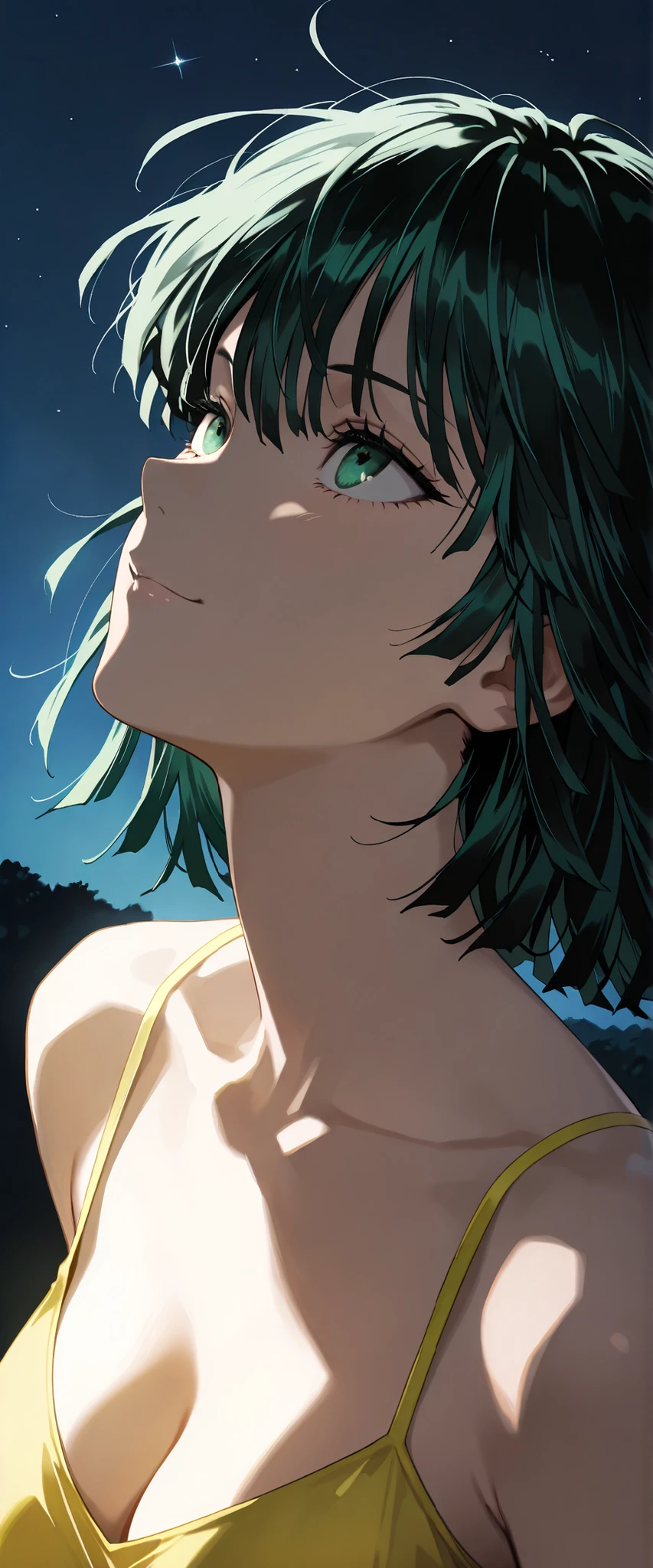 1 woman, fubuki (one punch man), close up, dark hair, green eyes, yellow summer dress, cleavage, solemn smile, outdoors, night, looking at the stars, looking up to the sky, chiaroscuro, masterpiece, high quality, highly detailed