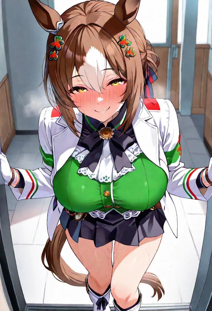 highest quality、All limbs、full finger、Slender beauty、straight hair、brown hair、Dereste、green, white and purple idol costume、high socks、beautiful big breasts、live stage、big smile、((tits、nipple、no panties、spread legs))、Love juice dripping from the pussy、((((live stage、POV、having sex))))