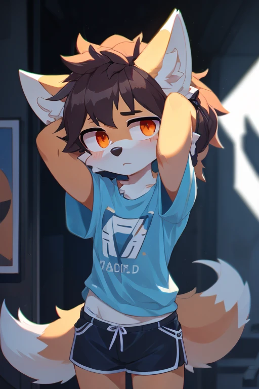 Anthropomorphic male canine, twirl tail, fullbody view, solo, on knees, digital art, lifting his shirt, different views, wearing a t-shirt and long socks with white stripes and a messy diaper, looking at viewer, one eye closed, tongue out,