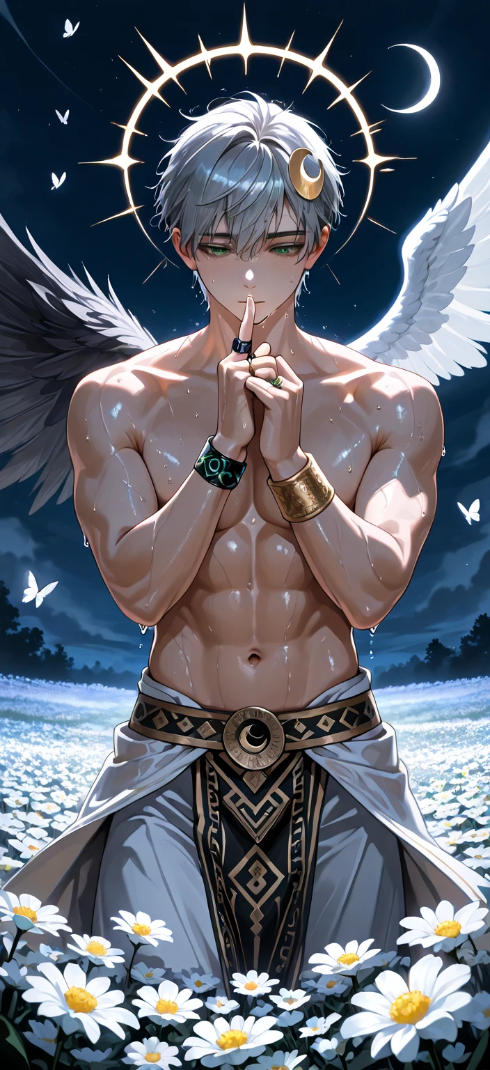 muscle, topless, white silk cloth cover lower, white silk shawl, angel, white bird wing, halo, front view,blood mark,
