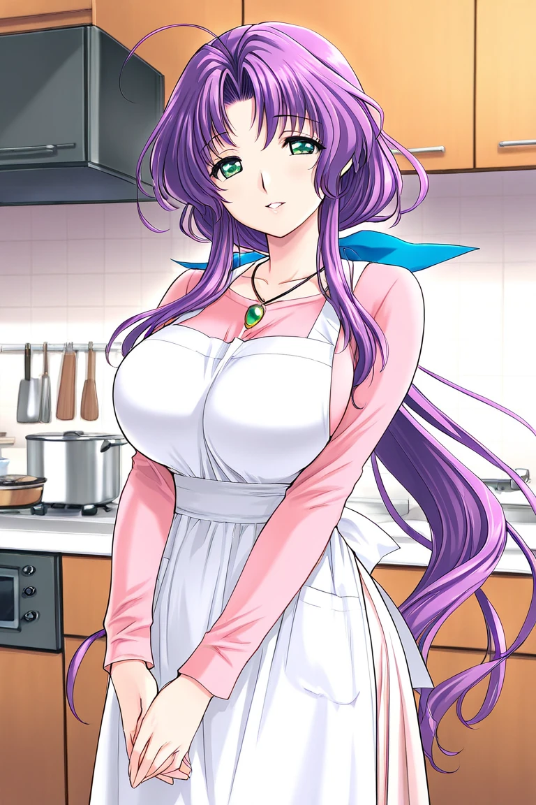 woman, 1girll, 独奏, huge tit, upper legs, Purple-black hair,neon palette, Nude wearing an apron,pink apron, Coiled hair,hason, 1girll, 详细的脸, Hang in the back, illustrated, TTPT-FC ,