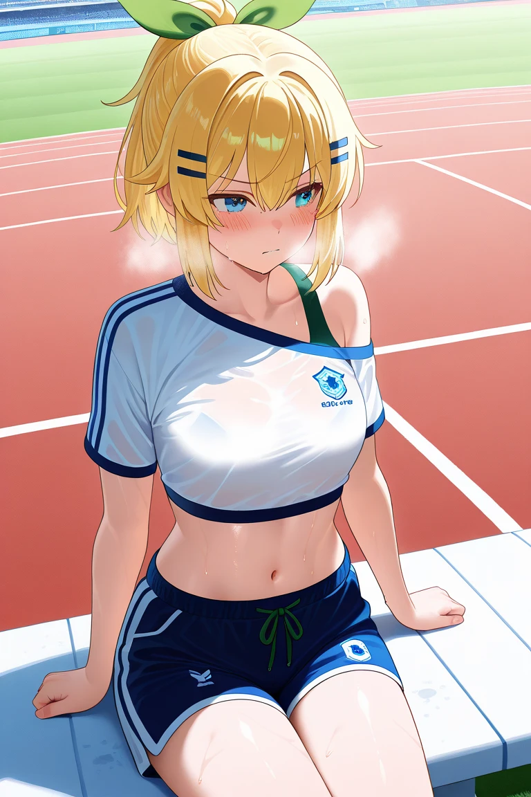 ((best quality)), ((masterpiece)), ((detailed)), (((perfect face))), (((22yo girl))), ((((topless)))), (((medium breasts))), (((((blue soccer shorts))))), ((blonde hair)), (((short ponytail))), (((green eyes))), ((frown)), ((blushing:1.2)), (((bare arms))), (((bare shoulders))), (((bare stomach))), (((green soccer field))), (((standing)))