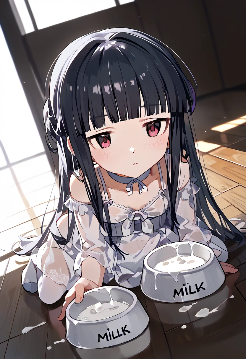    
score_9, score_8_up, score_7_up, score_6_up, source_anime, anime,  sensitive, 
close up,  low angle, fisheye perspective, 
Lying On The Floor, before blunt, 
., 
1 girl, cute, solo,sajo yukimi,,long hair,blunt bangs,expressionless,shy ass,flat chest,small breasts,black hair, white dress, See-Through Ear Covers, white ribbon, pink thigh high socks, white choker, 
medi1つ breasts, 
(Milk Bowl:1.2), pet play, all fours, 
indoor, living room