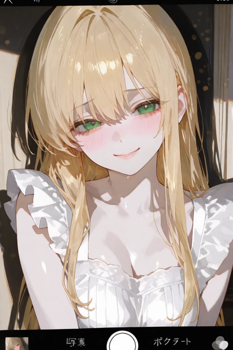 (masterpiece, best quality:1.2), extremely detailed, ambient soft lighting, 4K, quality,
1girl, solo, upper body,
blonde hair, high twintails, long hair,
green eyes, long eyelashes, thick eyelashes, half-closed eyes, looking at viewer,
black dress, (puffy sleeves, long sleeves, juliet sleeves:1.1), cleavage,
evil grin,
<lora:half-closed eyes:1>