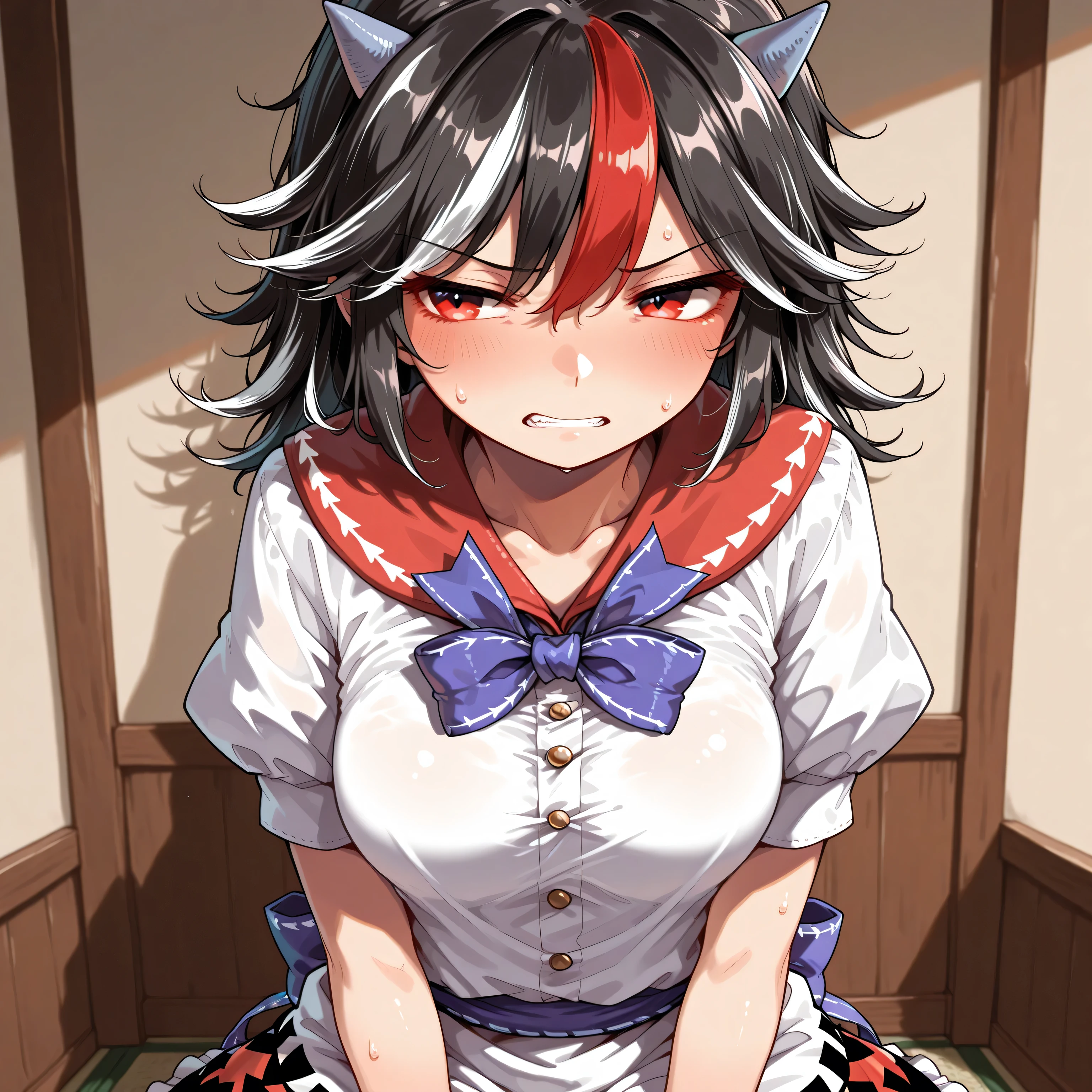 Seija Kijin，touhou project