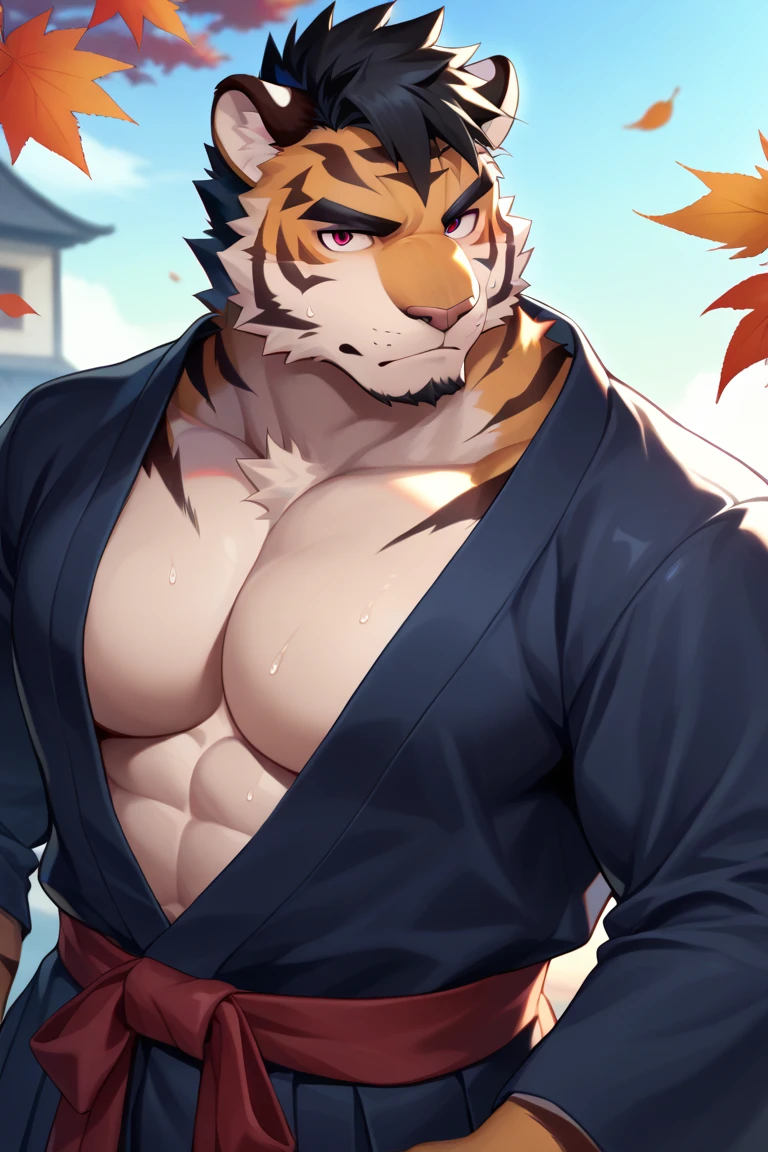 Close up, there's a teenager tiger in white traditional Chinese pants, topless, Sexybody, Muscular, veins, full body, anthropomorphic, extra detailed body, detailed body, Best quality, masterpiece, ultra high res,detailed background,realistic, real shadow and light, depth of field, (looking at viewer), (hands behind back), topless, open mouth, golden eyes, angry face, white Chinese style pants, at garden, evening, maple tree, Windy, maple leaves.