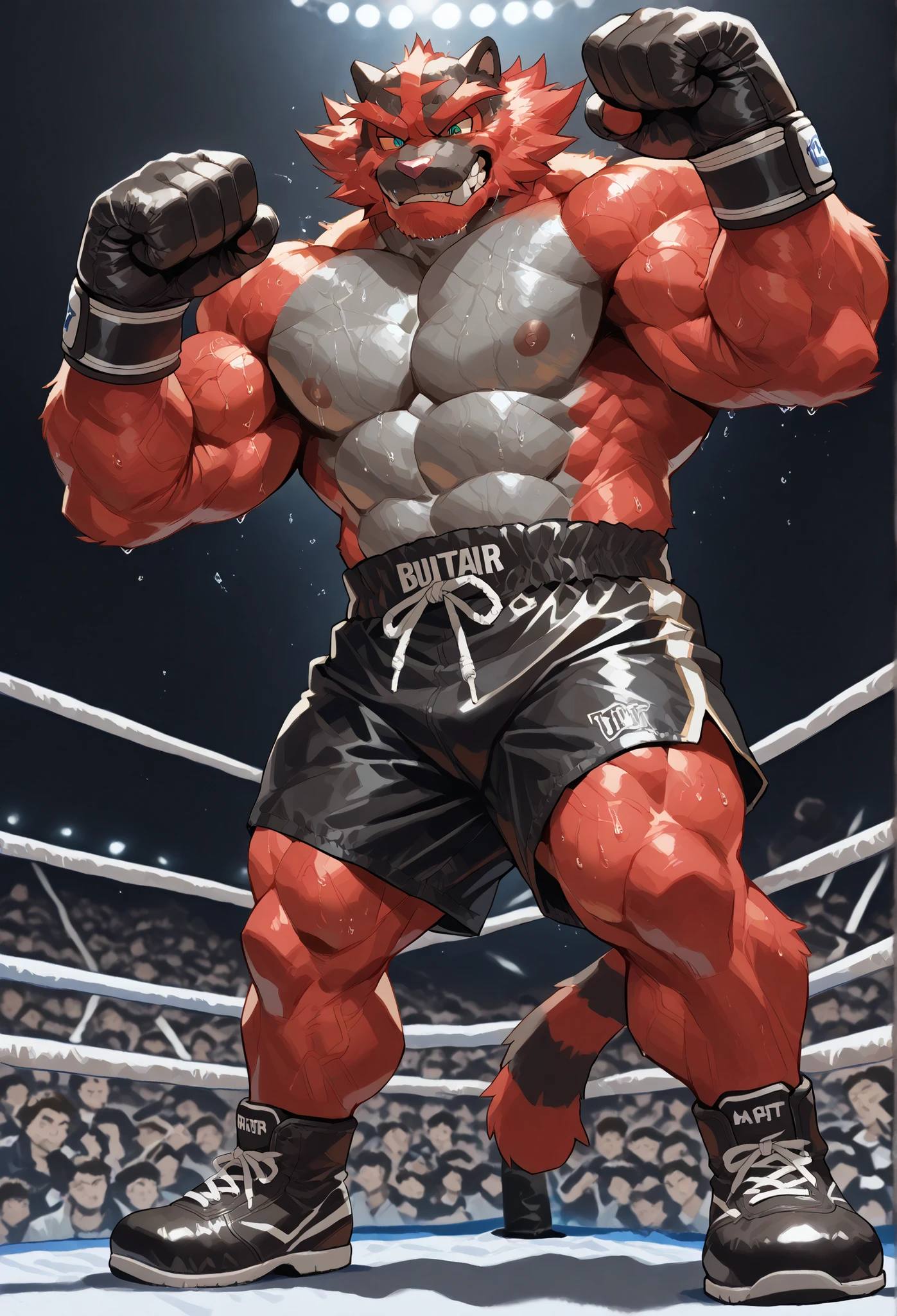 4K, masterpiece quality, pov_boxing, Looking down on the losers with brutal triumph, black boxing shoes, black boxing gloves, black boxing trunks with red side lines, full body, depth of field, boxing, dynamic pose, fist pump pose, boxing ring background at midnight, Incineroar heavywait boxing champion, magnificent mane, gay, furry male, he flexing his thick arms,bulging heavy muscular, thick veiny heavy muscles, brutal looking down on loser, brutal expression, brutal eyes, large pectorals, sweaty body, Angle of the loser looking up from directly below,