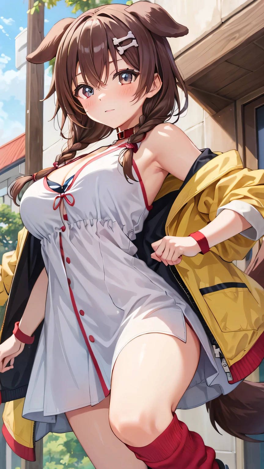 {{{masterpiece}}}, (best quality:1.5), (ultra-detailed:1.5), {illustration}, {{an extremely delicate and beautiful}}, (beautiful detailed eyes:1.6), absurdres, highres, extremely detailed face, 16k, hd, visual anime de uma jovem mulher, extremamente bonito rosto de anime, anime melhor garota, (perfect hands, perfect anatomy), anime face, BREAK, Inugami Korone(Hololive), 1gril, solo, cute face, koronedefault, brown hair, low twin braids, bone hair ornament, cartoon bone, bangs, (brown eyes:1.4), dog tail, medium breasts, big hips, curvaceous, BREAK, (yellow jacket:1.1), open jacket, jacket slip, (white dress:1.2), off shoulder, animal collar, cleavage, wristband, (red loose socks:1.5), white shoes