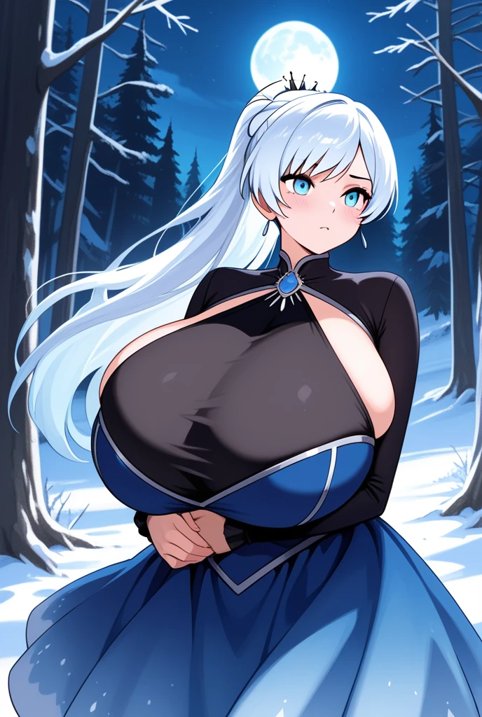 milf, 30 years old, (highres, masterpiece:1.2), white hair, robe, grey robe, huge breasts, thick thighs, standing, pelvic curtain, thighhighs, v-neck, strapless dress, blue eyes, smile, long hair, layered dress, elaborate clothing, ponytail, snow, forest in background, blue dress, belt