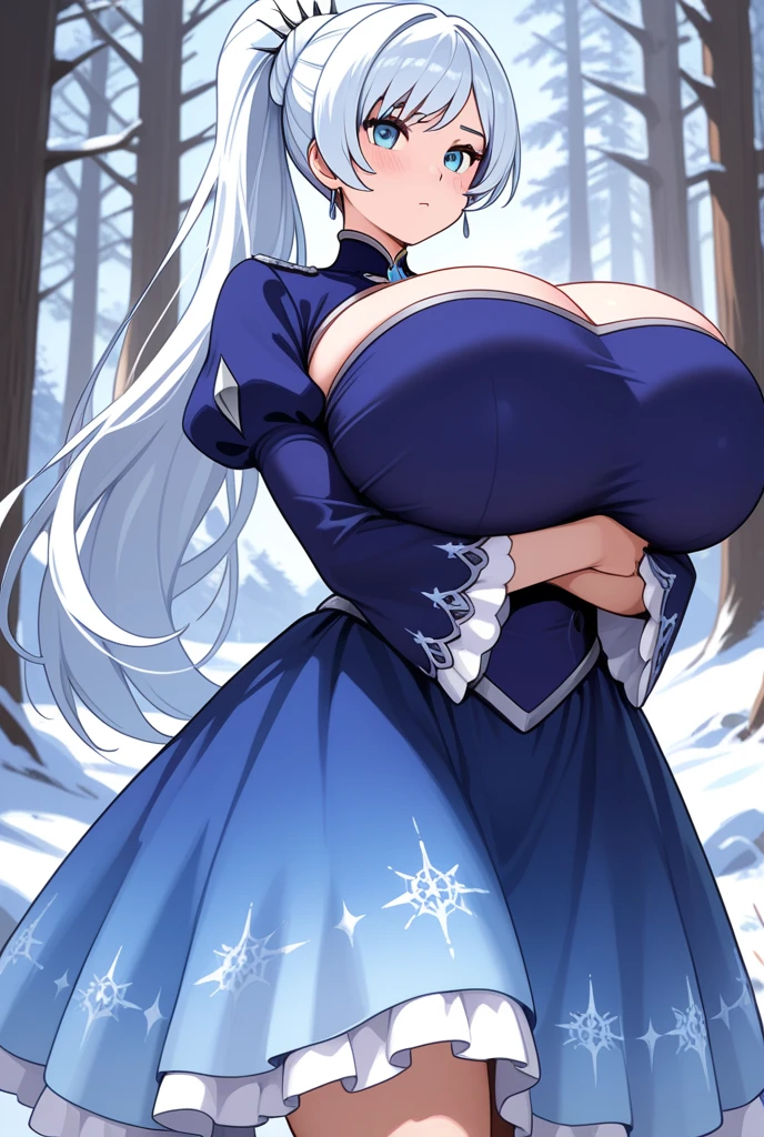 Masterpiece, high resolution, anime style beautiful girl, dark blue hair, blue eyes, huge boobs, ice queen, black clothes, snowy night