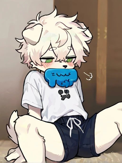 Chihuahua fur,white hair,)Get involved,Stick out your tongue,Paw Clothes,hoodie clothes,dog,Wizard,Drooling,Ahegao,penis