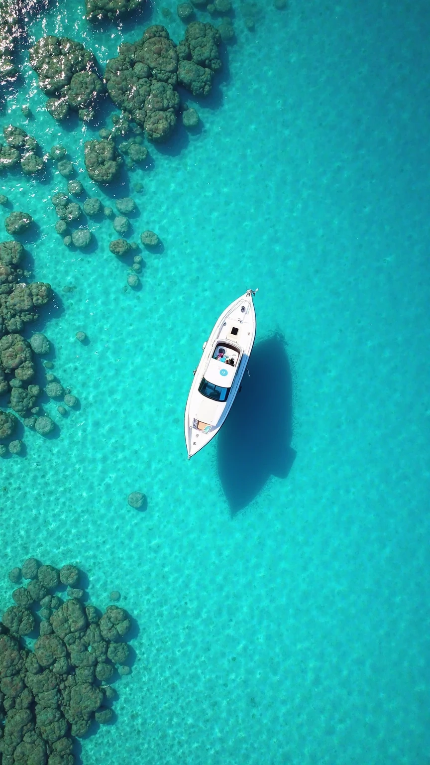 aerial view of a single white and blue boat floating on crystal-clear turquoise ocean water, captured in bright daylight with sun directly above, water is shallow and transparent, revealing patches of sand and darker coral beneath the surface, vivid cyan and aquamarine tones dominate the composition, boat casts a sharp elongated shadow on the seabed, emphasizing the clarity and depth, boat is centered slightly off-axis in a vertical composition, designed to mimic a smartphone wallpaper layout, hull and canopy of the boat are sharply defined, deck surfaces clearly visible, no passengers or crew present, water surface features subtle ripples and glints of sunlight, enhancing tropical feel, image conveys serene and luxurious escape, no land or other boats in frame, photographed from drone or high vantage point, creating immersive top-down perspective, perfectly lit with minimal color correction, clean and highly detailed rendering with no haze or distortion. Natural gradient of shallow water transitions from soft blue to vibrant turquoise depending on depth and coral presence, shadow shape mirrors boat contours exactly, adding depth and realism, background is entirely ocean, no clouds or objects break horizonless frame, photo gives impression of floating above paradise lagoon, tones are balanced for DCI-P3 and sRGB displays, suitable for digital wallpapers and modern ads, minimalist composition enhances focus on subject and tranquility, sun reflections on water add subtle motion, sky reflection nearly absent to preserve color integrity, texture of seafloor visible in high fidelity, overall visual designed to evoke luxury, freedom, and escape.