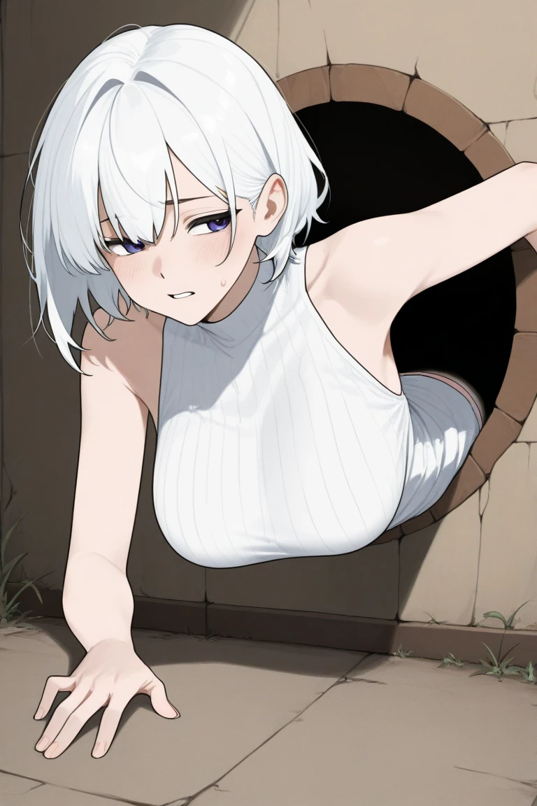 One naked girl、Light purple hair、Crouching、Knees up、With legs apart、In a dirty garbage dump、With legs apart、Expressionless and dead-eyed、Pussy、Nipples、Being tied up with hands behind back、She has a large clit piercing、A chain is attached to the clit piercing、Are pregnant、Small breasts、The whole body is ugly and dirty with dust.