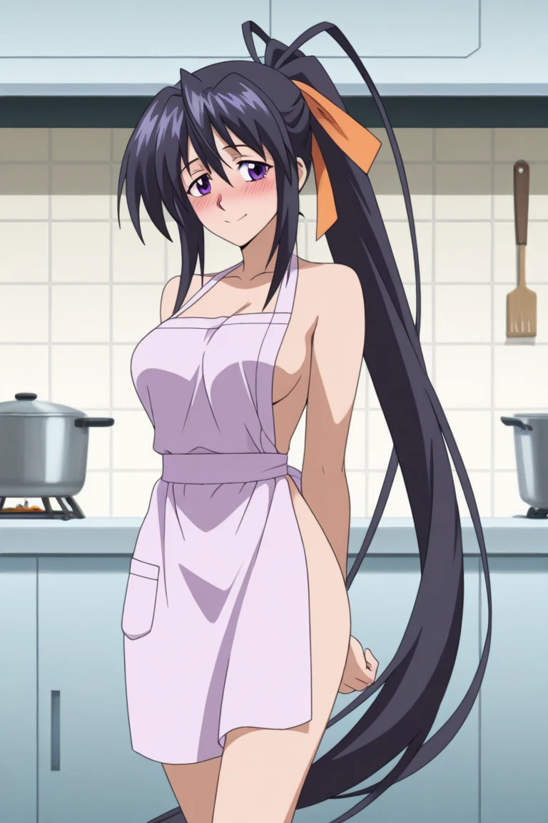 姫島朱乃の裸エプロン