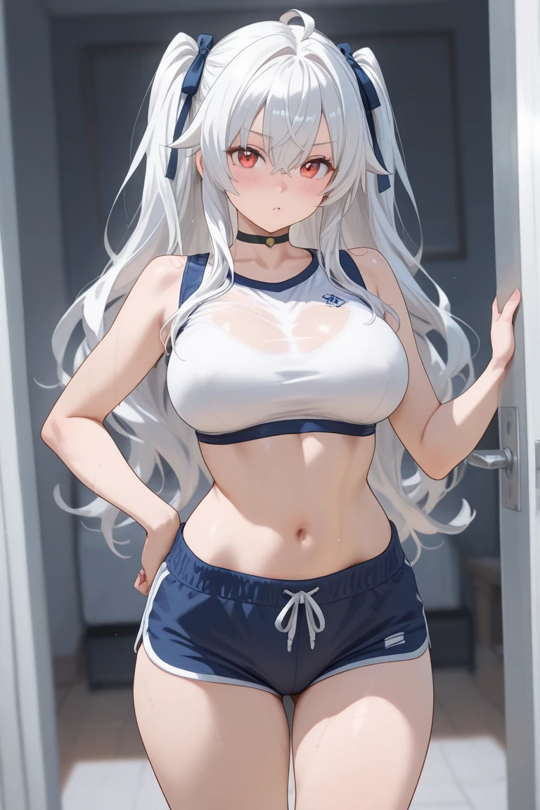 (((masterpiece))), ShizukaMikazuki, One Girl, alone, Looking at the camera, Long Hair, Gray Hair, Long sleeve, Cleavage, mega breasts,Large Breasts, Mature Body, face,clavicle, Jacket, Open clothes, open Jacket, blue hoodie, Black sports bra, Black hot pants, choker with a charm,Play sports often,bicycle,Clear light blue eyes, Blushing,smile,Sweat,Amazed expression,Faintly visible abs,Earrings,Golden navel piercing,Park at dusk, Increase the size of the chest