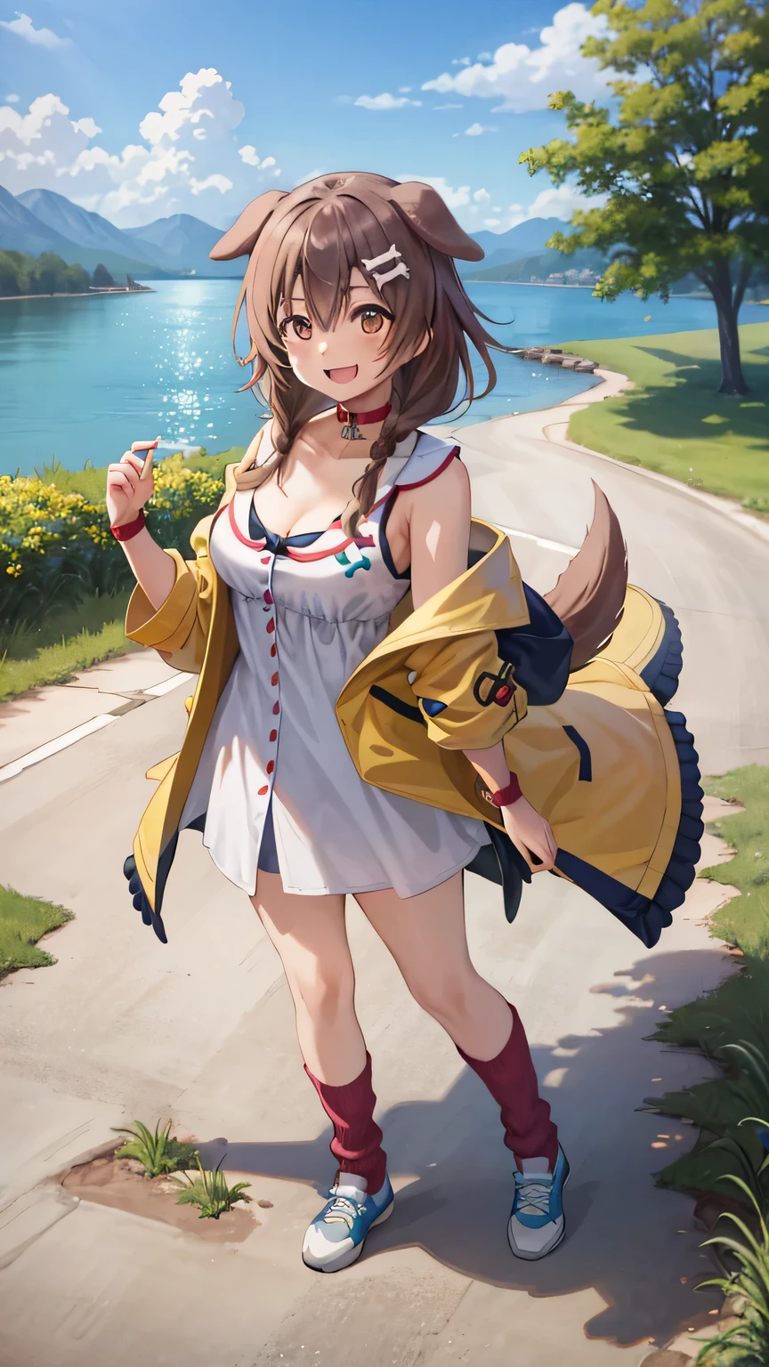 {{{masterpiece}}}, (best quality:1.5), (ultra-detailed:1.5), {illustration}, {{an extremely delicate and beautiful}}, (beautiful detailed eyes:1.6), absurdres, highres, extremely detailed face, 16k, hd, visual anime de uma jovem mulher, extremamente bonito rosto de anime, anime melhor garota, (perfect hands, perfect anatomy), anime face, BREAK, Inugami Korone(Hololive), 1gril, solo, cute face, koronedefault, brown hair, low twin braids, bone hair ornament, cartoon bone, bangs, (brown eyes:1.4), dog tail, medium breasts, big hips, curvaceous, BREAK, (yellow jacket:1.3), open jacket, jacket slip, (white dress:1.2), off shoulder, animal collar, cleavage, wristband, yellow loincloth, (red loose socks:1.5), white sneakers, BREAK, cute face, open mouth, smiling, standing on the lake, from above, outdoor, mountain, forest, flower garden, (cute gestures:1.2), mysterious