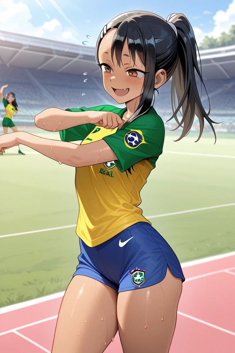 Soccer ball with a Brazilian 