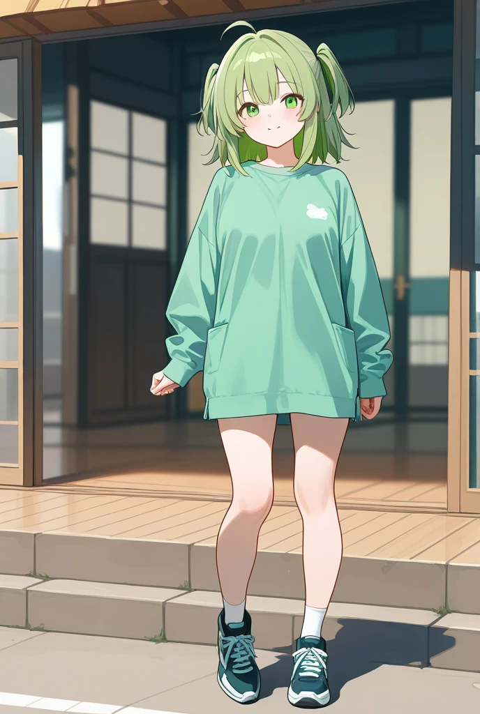 highest quality, Tabletop, 超A high resolution, Ryu Lion, Green shorts, Green Boots, White shirt, Green Cape