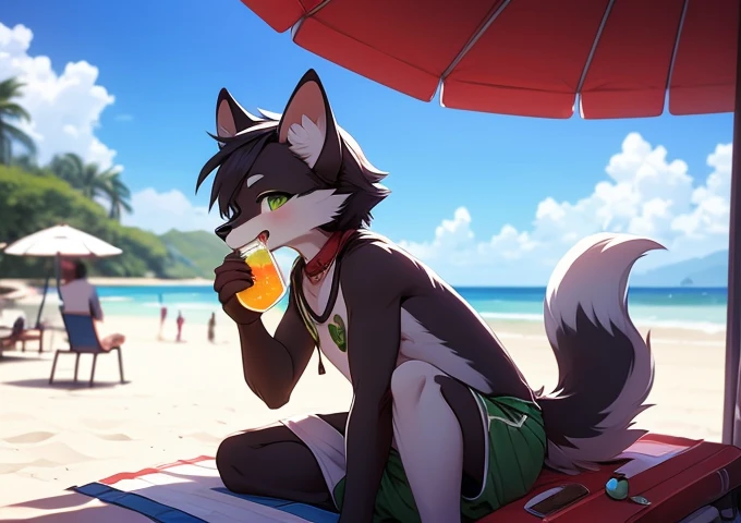 alone, score_9,score_8_up,score_7_up,(fluffy anthro furry :1.3), Best quality,best resolution,(fluffy anthro fluffy :1.3), ultra-detailed, German Shepherd, buxom, with curvy hips, in a blue short min, amber eyes, , brown body, brown fur, grinning seductive look(detailed), looks at the viewer, lies on a towel in a seductive pose, legs crossed, barefoot, 4 toes, micro striped bikini, beach, outdoors, sunny day, holds a cooling drink