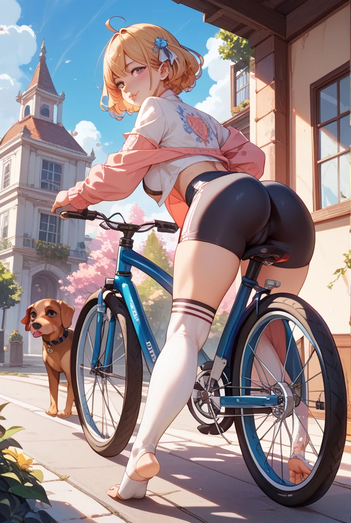 dog, female, canine pussy, anus, pussy juice, riding on the bike, choker, city, sunset, skirt, panties pulled aside