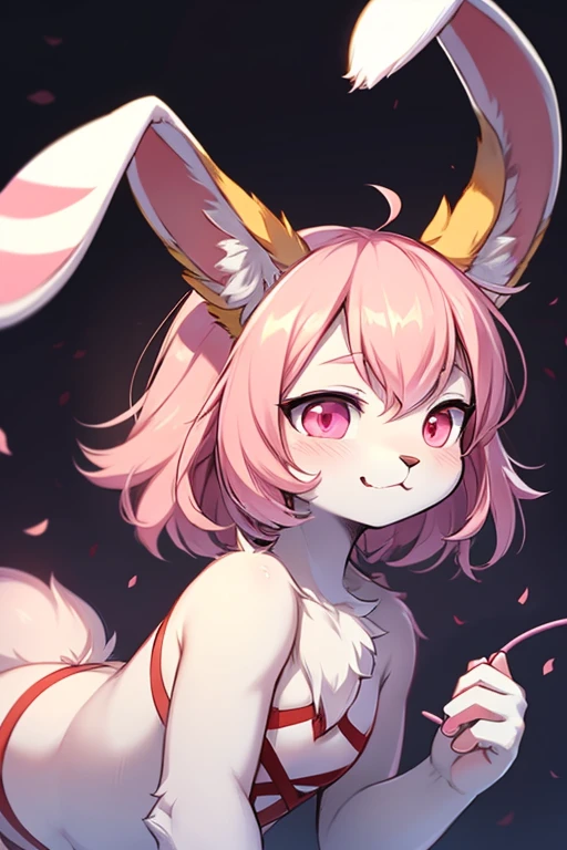 naked、female、Cat ear、open your legs