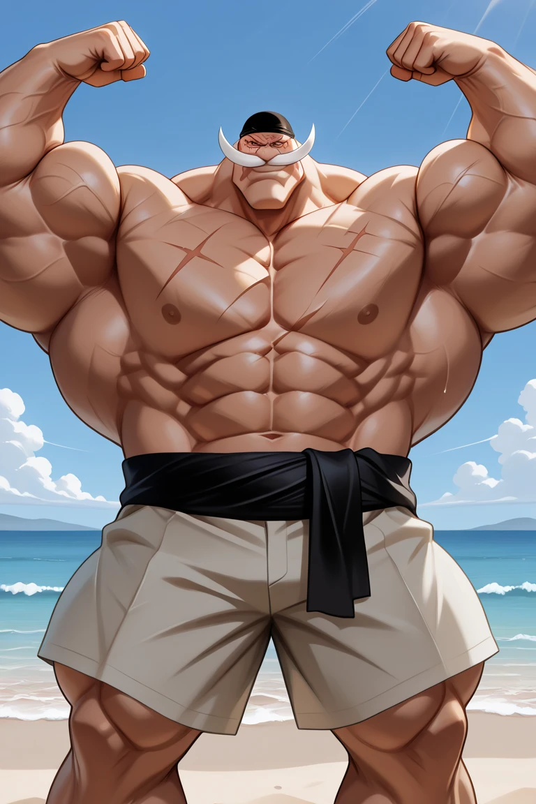 Fraction_9, Fraction_8_up, Fraction_7_up, Fraction_6_up, Fraction_5_up, Fraction_4_up, male focus, src_Japanese cartoons, only, grimace, vector_Art, Plane 2D:1.2), Ocean盜, Ocean, topless, white turban, side view, stubble