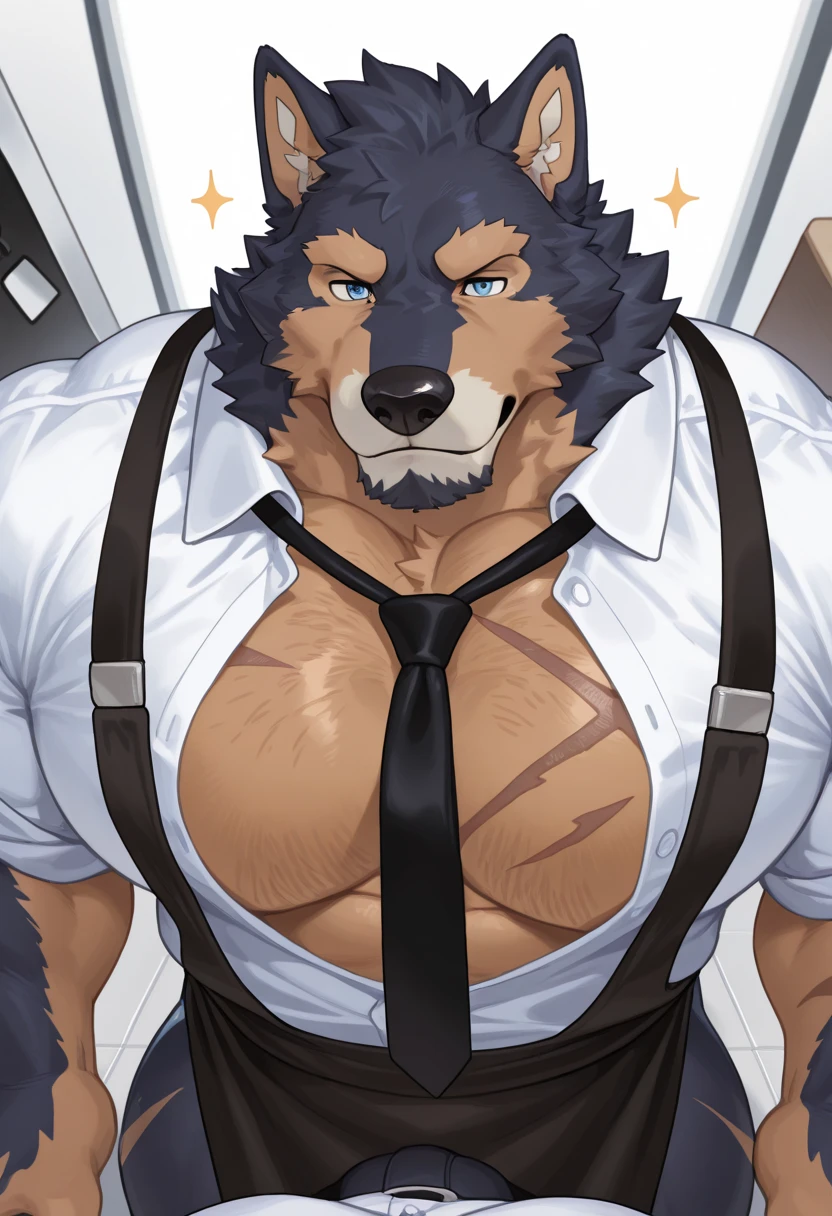 Wolf‚Male, muscle, intestinal muscle, big belly, large, Male mature, old. front view‚ fundoshi ‚ bulge crotch ‚ A fundoshi bulge in crotch ‚ huge crotch ‚ 