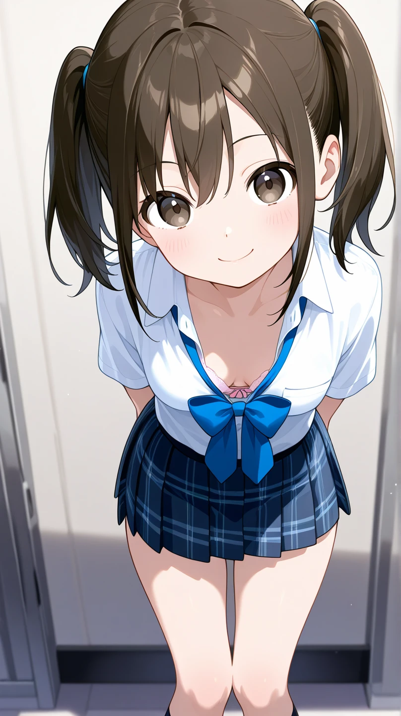 (masterpiece、highest quality、High resolution、realistic pictures、real looking skin:1.1)、1 Japanese girl、alone、whole bodyエスビアン、beautiful eyes、shining eyes、brown hair、Entrance to the house、(Long collar shirt、Navy pleated mini skirt、cardigan、blazer、loose socks、black loafers、F cup breasts:1.1)、(lift one'my own skirt:1.5)、(panties are slightly exposed:1.5)、(Are standing:1.5)、(simple white pants:1.5)、(A provocative grin:1.5)、(high twin tail:1.5), (whole body:1.5), NSFW
