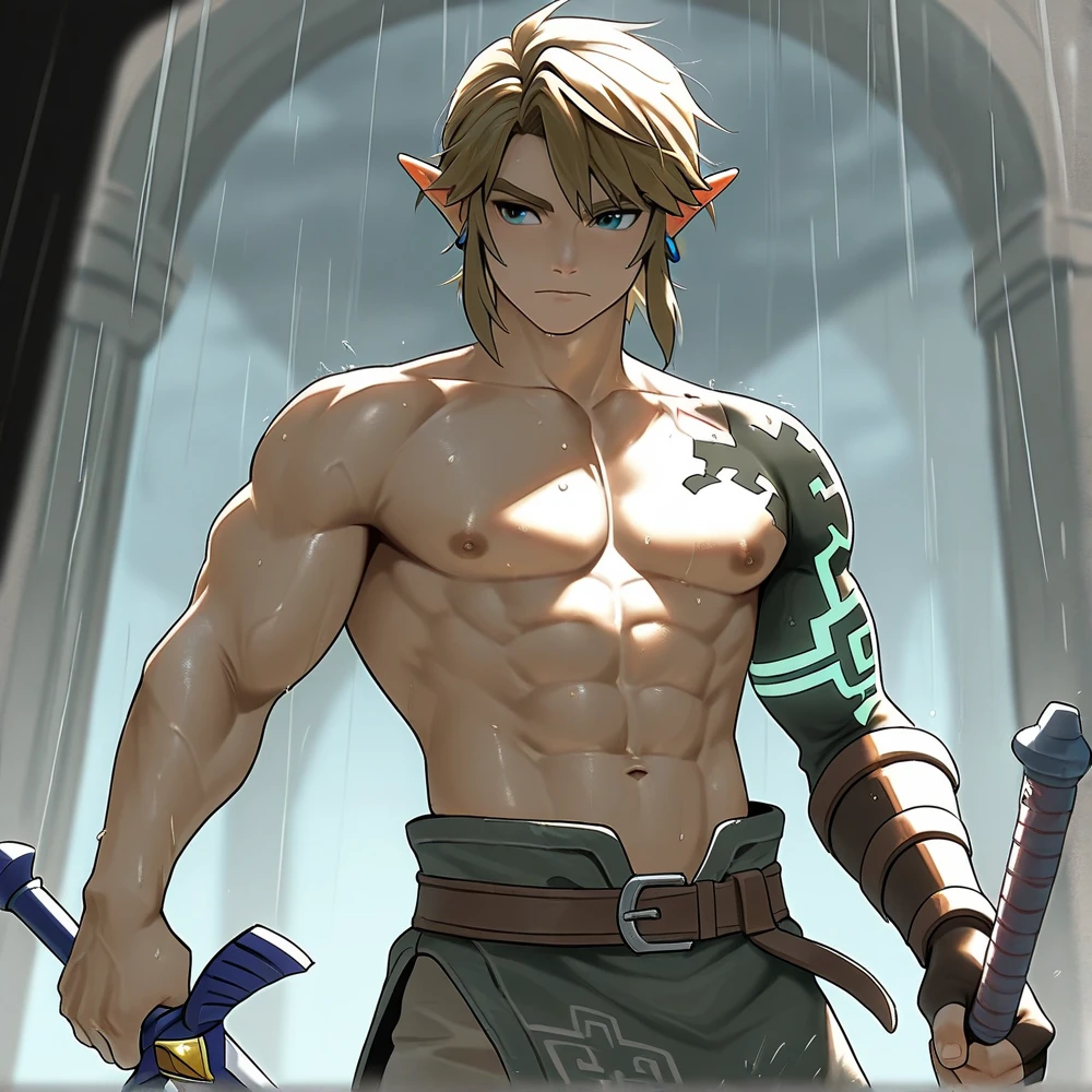 複数のmaleに痴漢される,The Legend of Zelda Link,Abdominal muscles,male
