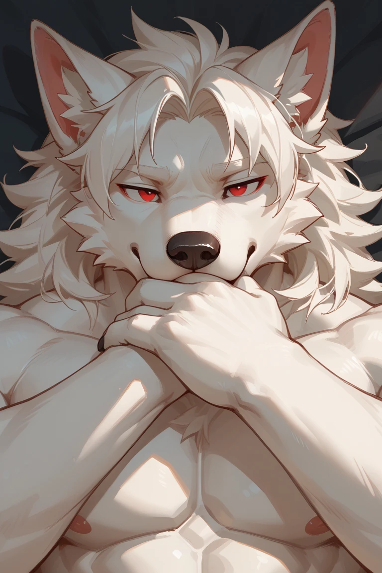 muscular gray tabby wolf covering his crotch naked with embarrassed face