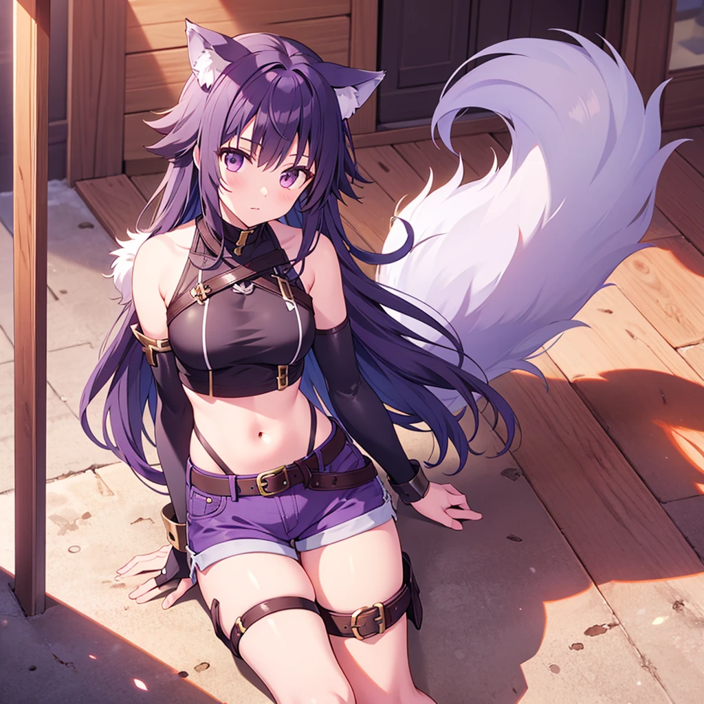 (masterpiece, best quality), 1girl, <lora:violetQT:0.8> violet, black hair, orange eyes, fox ears, fox tail