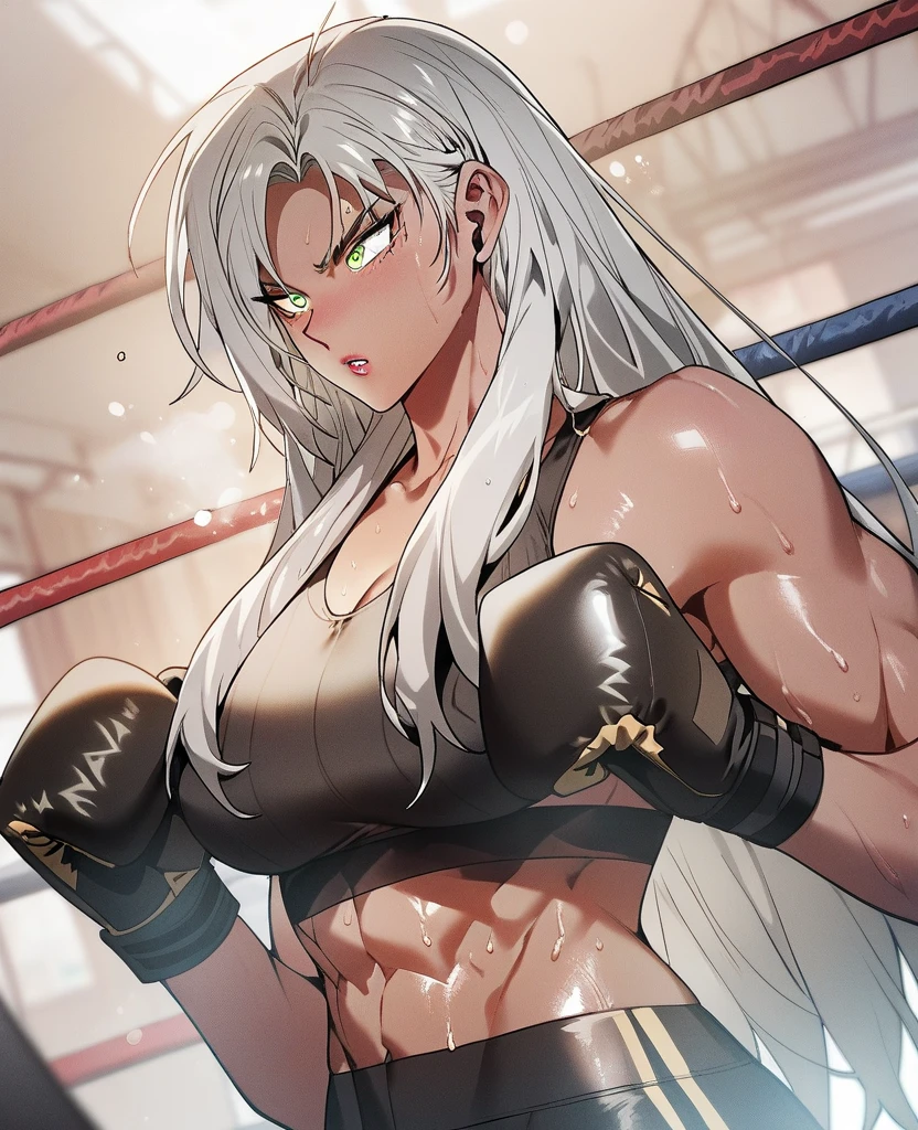(masterpiece: 1.2), (best quality: 1.2) 1woman, mature, tall, about 28 years old, silver(white) hair, straight hair, long hair, hair tied in a samurai bun, ponytail , light blue eyes, long eyelashes, anime style, perfect face, extremely feminine face, detailed face, ultra realistic face, full lips, smile, mature, large busts, perky bust, clear skin, natural body, sexy body, body with abs defined, six-pack abs, muscular abs, wearing a black blouse, oversized pants, fitness pants, gym style, thick thighs, wide hips, big butt, perky butt, curvy butt, sexy butt, posing from the front, boxer pose, looking at the viewer, background scene, setting in a gym gym, on top of fighting mat, with fingerless gloves