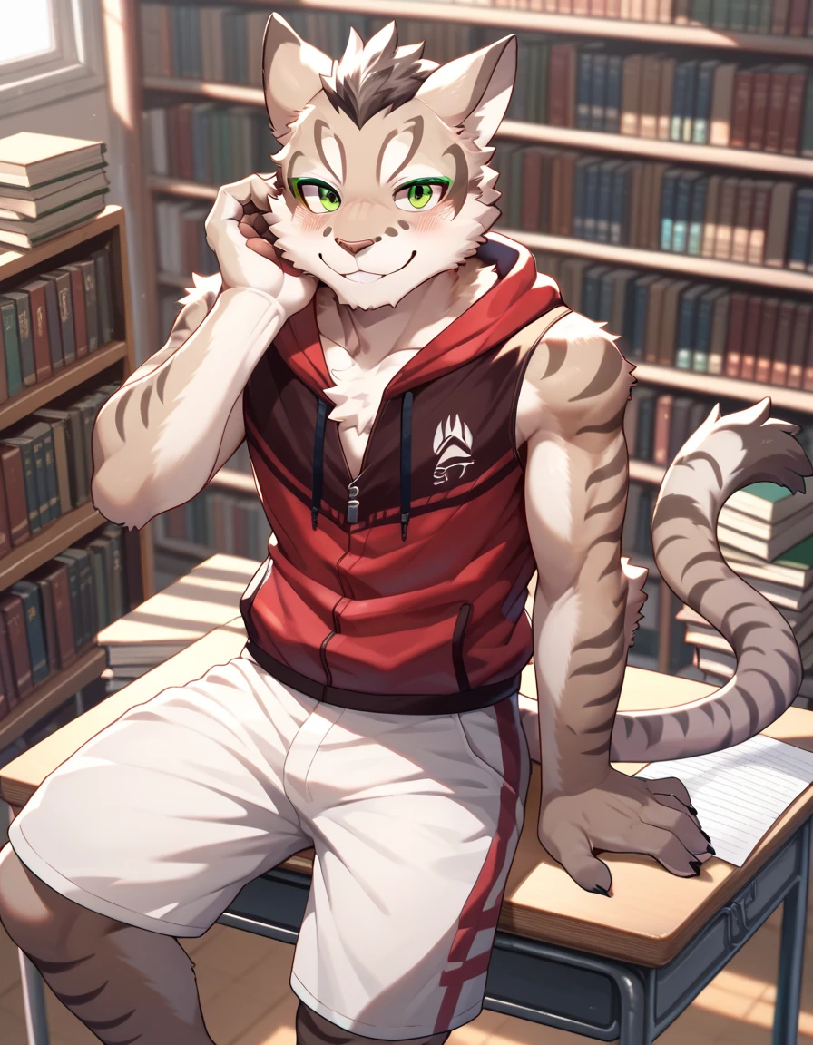 , male,shuchi, furry, green eyes, sleeveless red hoodie, white shorts, library background, looking at viewer, smile, blush, sitting on a desk,