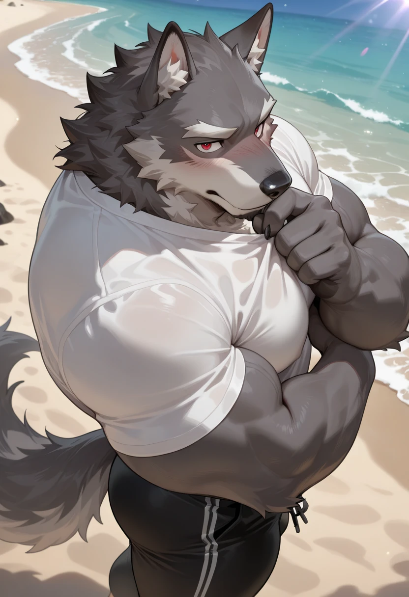 Anthropomorphic wolf，masterpiece, Solitary, Delicate face, 32 years old adult, hairy, male, Handsome, full-body shot，Strong， Very detailed, Expressive, Dramatic lighting, Epic Background,  Intricate details, Ray tracing，Beach Background，white hair，White skinny briefs，Shy expression