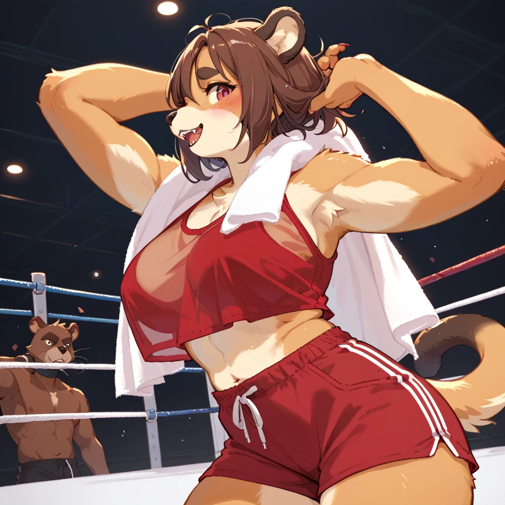 score_9, score_8_up, score_7_up, score_6_up, score_5_up, score_4_up, rating_explicit, source_furry, female, cute anthro female, cute face, detailed background, looking at viewer, solo, solo focus, (digital pen line-art, soft lines, soft shading, pinup, cartoon, anime:1.2), tknatani, keidran, boxing ring, boxer, (badaged arms, bandaged breasts:1.4), busty, shorts, (serious face:1.2), room, long hair, abs, wolf, long snout