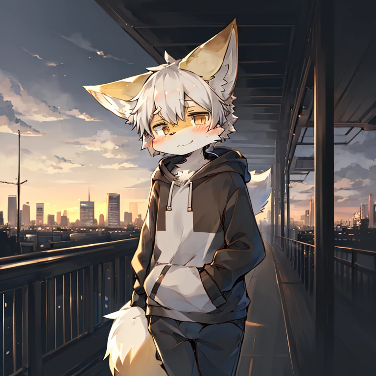 nj5furry, Dragon, Sitting, Hoodie, restaurant, female, cheerfulness, White fur, White body,，by_Hioshiru:1.2), (by_Ancesra:0.6), (by_Kekitopu:0.6), (by_kikunyi:0.6), (by_Syuro:1.2), (by_Doxy:0.6), (by_youjomodoki:0.6), by_dacad, (by_reysi:1.2), by_zinfyu, by_pata, by_chunie, by_dr.bubblebum, panties, cameltoe