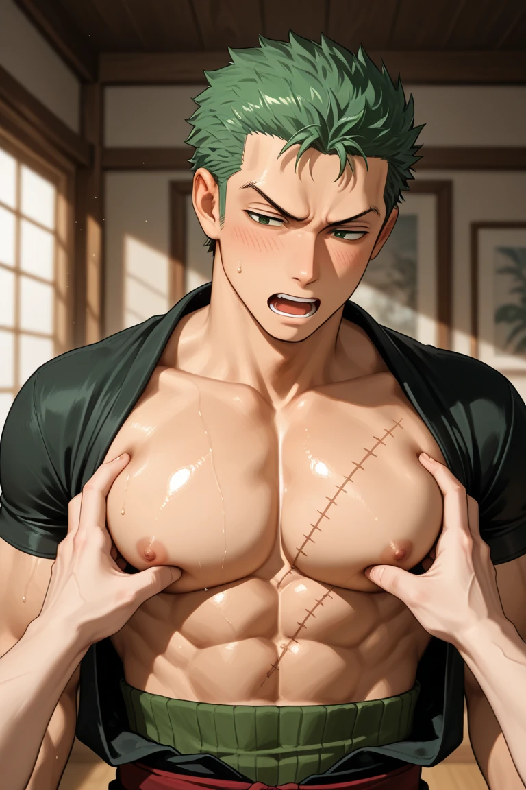 Roronoa Zoro,((The expression of climax)),(((Ejaculate forcefully)))naked,One erect penis,Highest quality,masterpiece,Ultra HD,Correct body structure,field,night,Lack of ethics