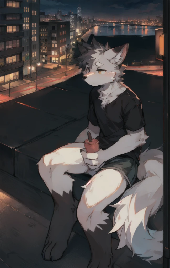 (masterpiece:1.2),(anatomically correct:1.1), (high quality:1.5), (((solo male anthropomorphic))) ,[digital painting \(artwork\)::0.8]
kemono,(1 wolf boy),cub:0.5,,(motion lines:1.1),[watercolour (artwork):0.6],blue eyes,black sunglasses,collar,( face to camera),detail face,full body fur,short hair,grey hair,couch
outdoors,city,cyberpunk, Tokyo,Downtown,at morning,sunlight,sunny, red hair, white fur, black clothes and collar, 