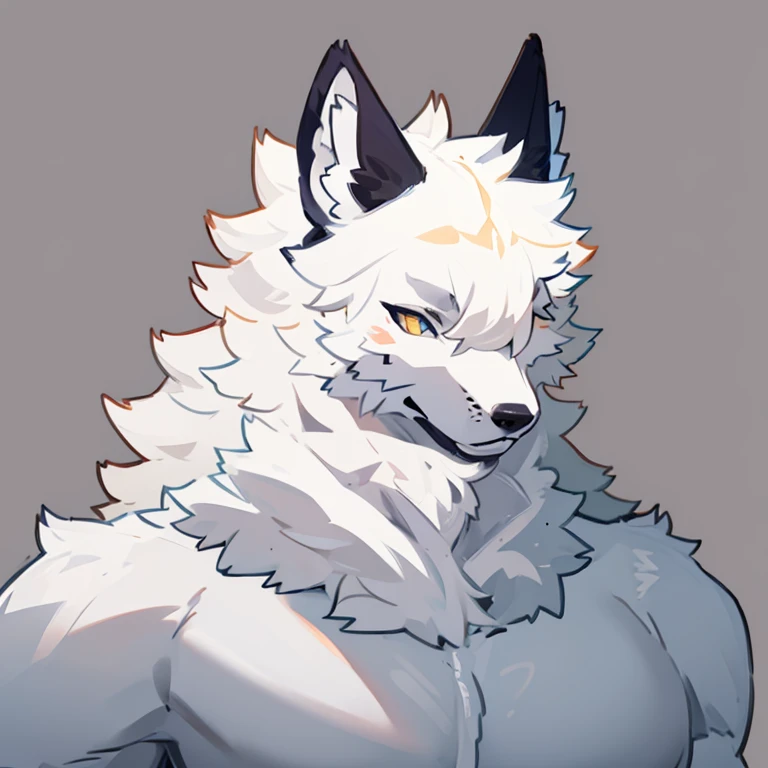 black cloak,Ruan Jia,Pino Daeni,darkgem,dimwitdog,muscular male wolf anthro, (detailed face), (detailed fluffy fur)