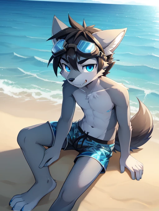 score_9,score_8_up,score_7_up, source_cartoon, source_furry, Furry shota, wolf, black hair, long spiky ponytail, blue eyes, detailed body fur, ((goggles, blue hawaiian shirt, open clothes, black swim trunks)), looking at another, fangs, clear grey body fur, detailed face, big eyebrows, detailed eyes, detailed body, detailed body fur, detailed hands, glistering body, shiny body, skinny, solo, glowing blue eyes, from above, motion blur, skinny, cute, anime style, thick outline, anthropomorphic, countershading, looking at viewer, beach, clear sky, sitting, full body, feets with three toes, :3,