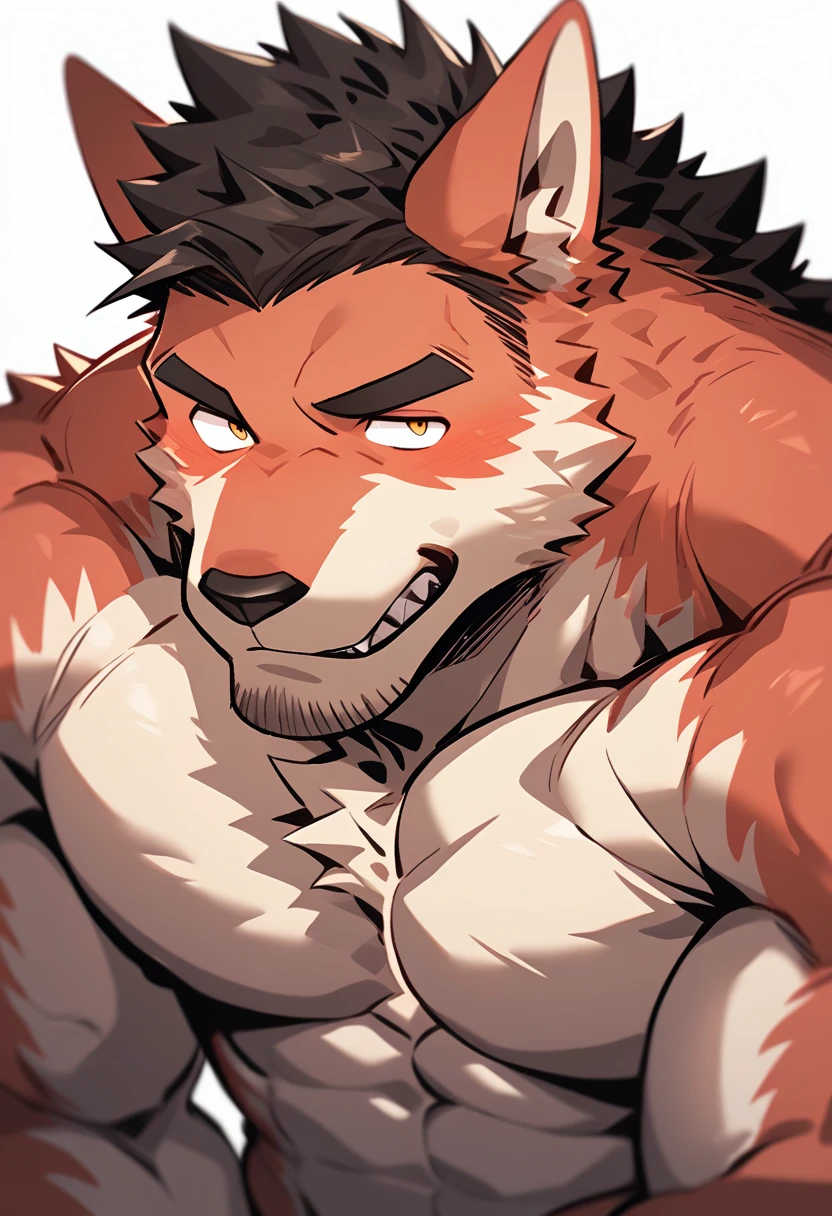 Fu Rui，Orcs，狼Orcs，Werewolf，robust，肌肉Orcs，Strong muscles