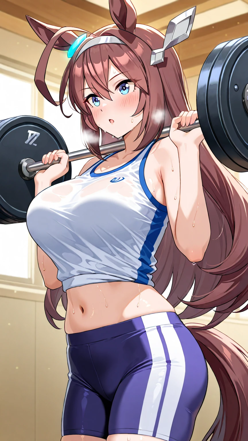 meisho doto\(umamusume\), ((ultra-detailed face)), symmetrical face, beautiful face, (masterpiece), best quality, sports bra, gym room, front, horse tail, expressionless, muscular, (abs:0.85), large tits, slender, workout