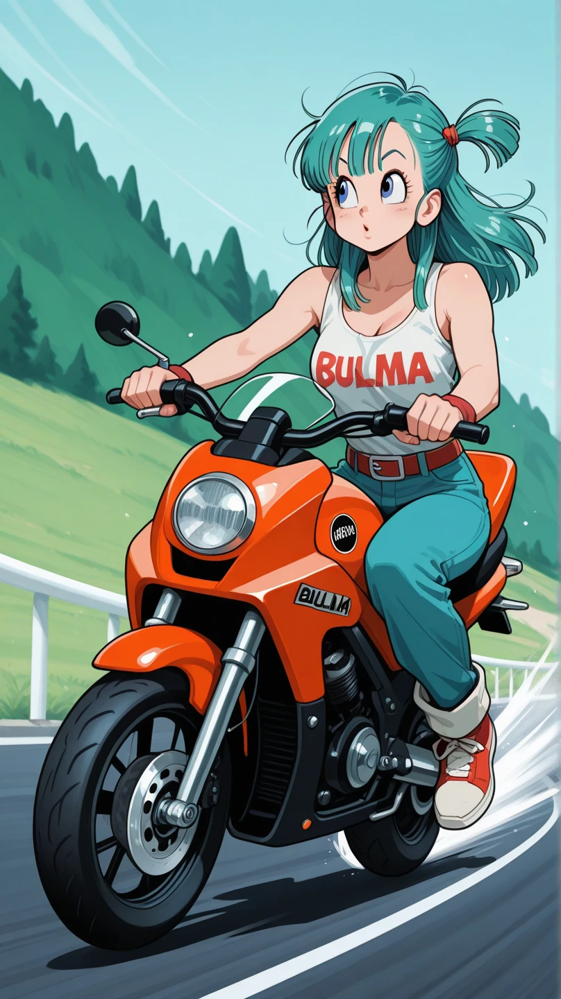 ((sticker-style illustration for print with 1girl,Bulma from Dragon ball, minimalism,)), simple background, clean:0.9, lineart, vector, Smile, happy, colors should be vibrant and vivid, Full BODY, portrait, nude, breast, naked, nipples, orgasm, riding a motobike