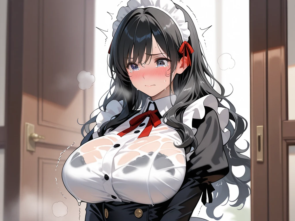 nsfw, illustratio, (top-quality), (((masterpiece))), official art, masterpiece, beautiful detail eyes, , beautiful light and shadow, 2 asian girls,25 age old, mirroring girls, steaming body, sweaty body, beautiful face, maid outfit, room, blurred background, breast out:1.5