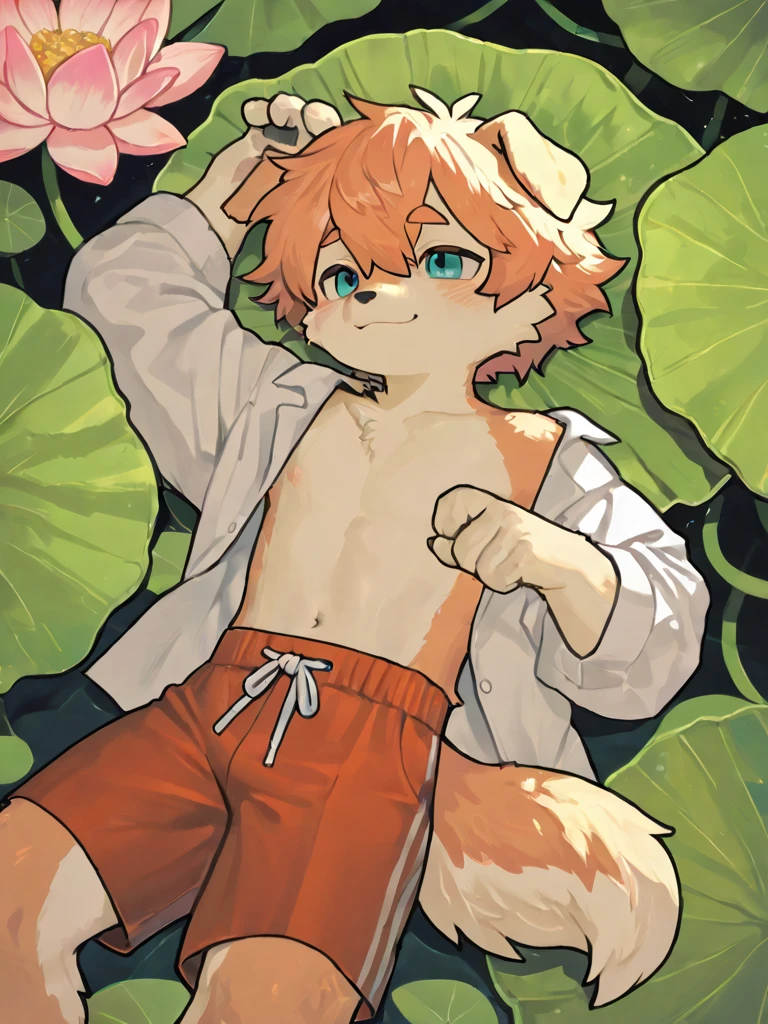 masterpiece,high quality,abstract res,number\(artwork\), From dagasi, Yes,Seizan,(Flower Charcoalo,Fluffy fur,character focus:1.1),Flower Charcoalo male cat,short hair,portrait , Bright eyes, panoramic, character focus.(Detailed background:0.7), solo, hairy, hairy male, Male focus, Masterpiece of time,high quality,abstract res,number\(artwork\), From dagasi, Yes,Seizan,(Flower Charcoalo,Fluffy fur,character focus:1.1),Human male fox,Bright eyes, panoramic, character focus.(Detailed background:0.6), solo, hairy, hairy male, Male focus, Flower Charcoal,(Hairy all over, Hairy tail)fur,A five-year-old boy,cute,Hip bulge,Toddler,Blood-red pupils,A tail with a white tip,The ends of the limbs are white,Cute meat pads,Claw,cute boys,The ear tips are orange,Big hairy ears,Hairy big tail,Reasonable composition,Pale yellow hair,Brown cloth bag,In the woods,Extremely fine water, naked,Slightly reddened,Dress coolly,Blonde short hair,Thin children,Blonde hair,cute child,cute little adventurer,Be open-minded,Ultra-clear, japanese village, blossom tree, pooping.