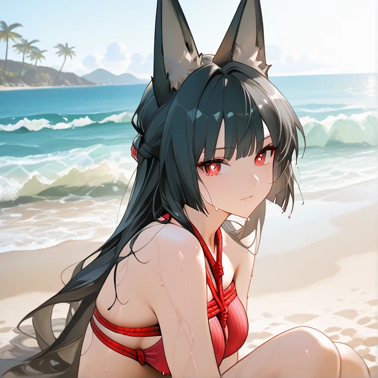 NSFW,masterpiece,Highest quality,High resolution,Super detailed,Yukinoshita Yukino\(My Youth Romantic Comedy is Wrong as Expected\),Black Hair,Long Hair,Light blue eyes,High quality sexy micro bikini,Halter neck,Cat ears headband,Cat's Tail,Small breasts,Face in love,Embarrassed,blush,beach,Palm tree,Beach parasol,Beach House,(Big man),Pick up a girl,Cat Pose,squat,Spread your legs