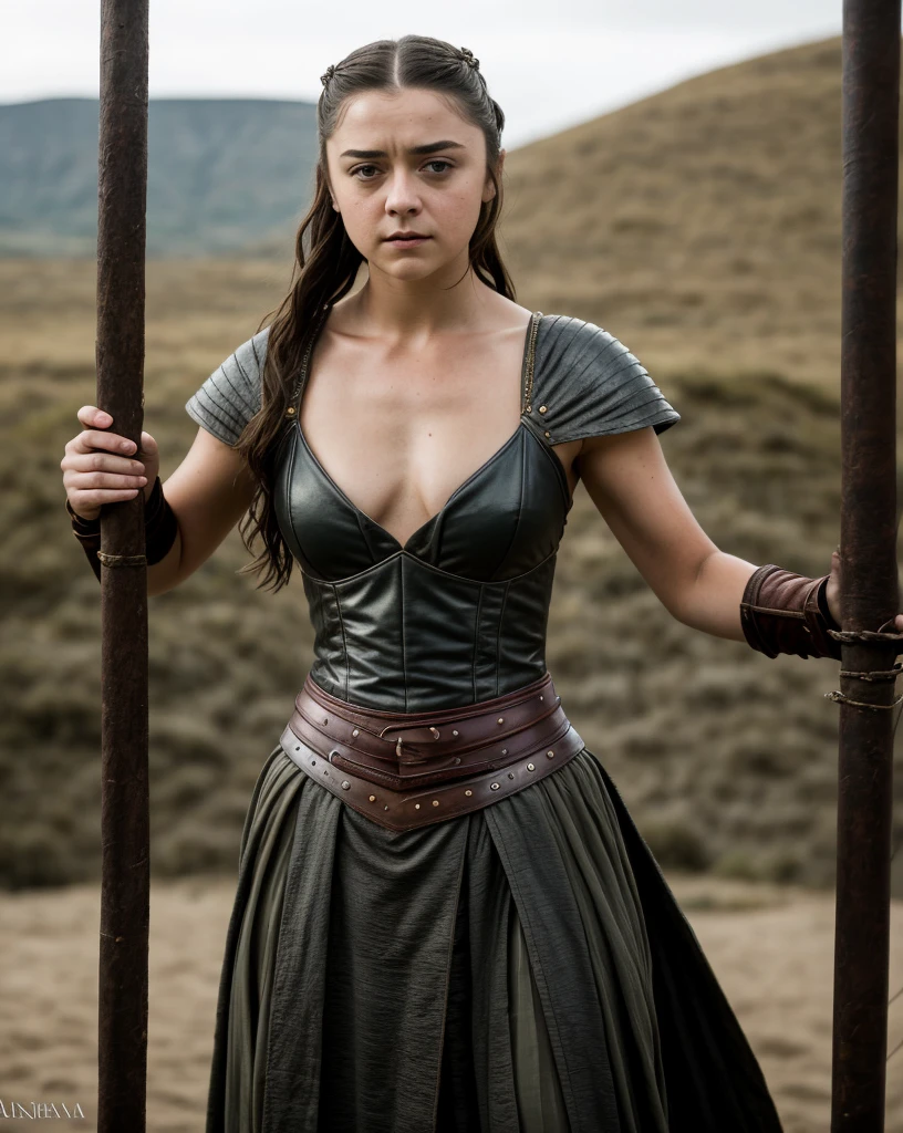 Foto RAW, Arya Stark, Extremely gorgeous lady, Arya Stark PLAYED BY MAISIE WILLIAMS, Queen Arya Stark, she  a mature woman now, milf, sexy mediaeval battle dress, gladiator woman, body, 40 years old Woman, body revealing costumes, perky breast, big natural breast, erotic costumes, lusty physique, seductive figure can capture every people's attention, Game of thrones costumes, revealing captivating figure, Mediaeval costumes, revealing clothes, A tomboy, she would rather fence than dance, warrior queen , game of thrones screen caps, Game of Thrones Series, (pele altamente detalhada: 1.2), 8k UHD, DSLR, soft-lighting, alta qualidade, grain of film, Fujifilm XT3, flawless picture, highly detailed, detailed Beauty, intricate, 32k, sharp picture,