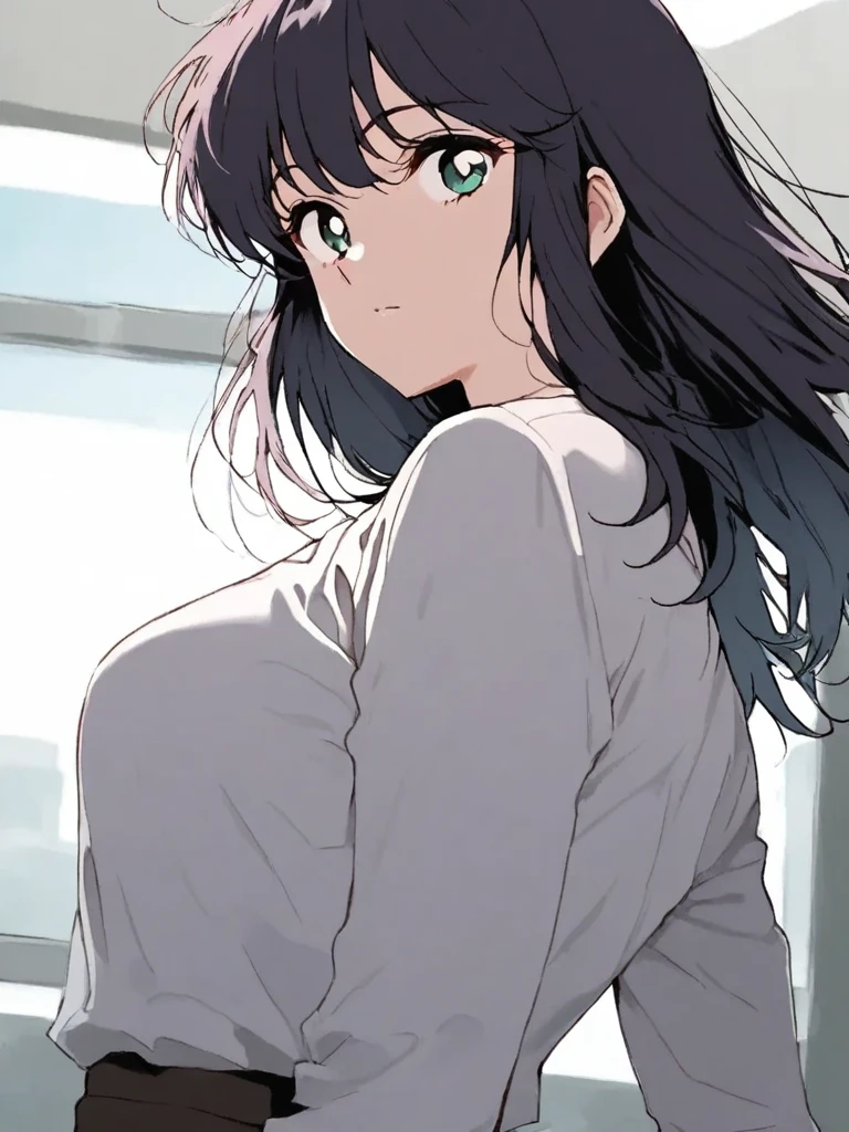score_9, score_8_up, score_7_up, masterpiece, source_anime,1girl,1980's anime style