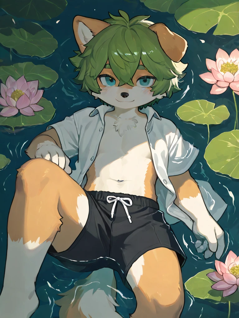 (Bright environment:0.8),masterpiece,high quality,Abstract Research,number\(A work of art\), Through Dagashi, Yes,Qingshan,(Flower Charcoalo,Fluffy fur,character focus:1.1),Humanity Day,short hair,portrait , Bright Eyes, panoramic, character focus.(Flower sea background:0.7), solitary, hairy, hairy male,,Male focus,,Shirtless,White diapers,Handsome,Facing the camera,Parallel screen,Flower Charcoal,(全身hairy的, hairy的大尾巴, Orange and white hair,Golden Eyes, Pure white hair with a hint of blue,Pointed ears:1.2), (White canines:1.2),(External、Clear skies、morning、grassland:1.1)
